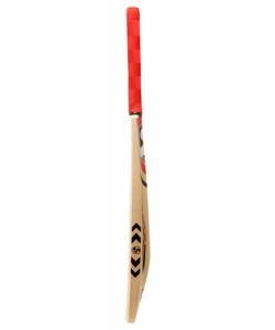 SG Rsd Plus Kashmir Willow Cricket Bat (Short Handle)